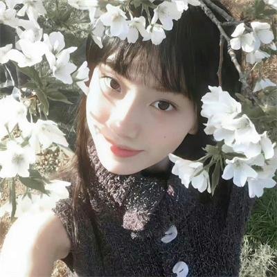 莫比乌斯